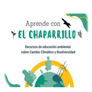 El Chaparrillo - 2º E.P.