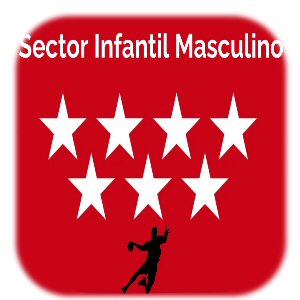 Sector Balonmano Infantil Masculino