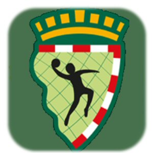 Amistosos BM Alcobendas